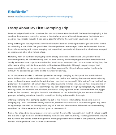 Essay About My First Camping Trip