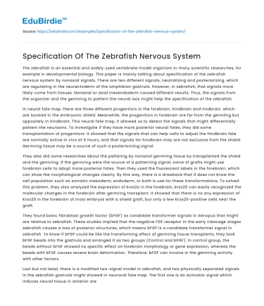 Comprehensive Analysis of Zebrafish Neural Development