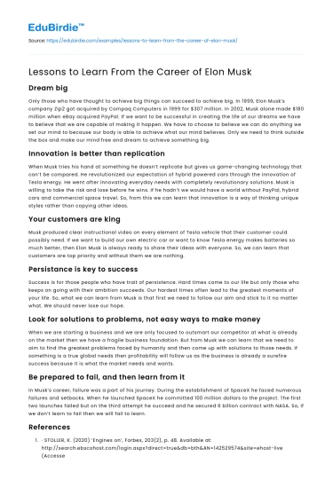 Insights from Elon Musk’s Professional Journey