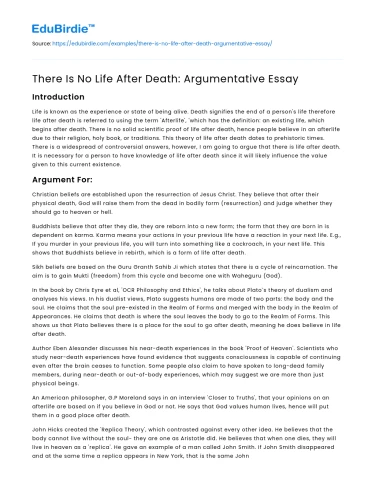 There Is No Life After Death: Argumentative Essay