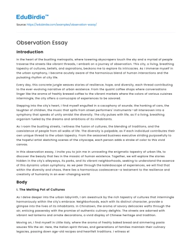 Observation Essay