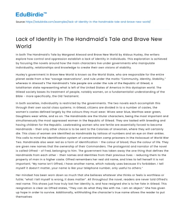 Lack of Identity in The Handmaid’s Tale and Brave New World