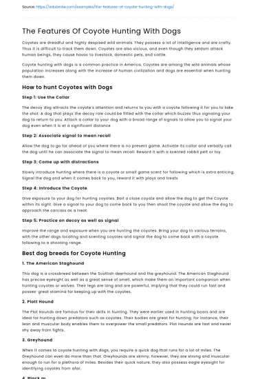 The Features Of Coyote Hunting With Dogs