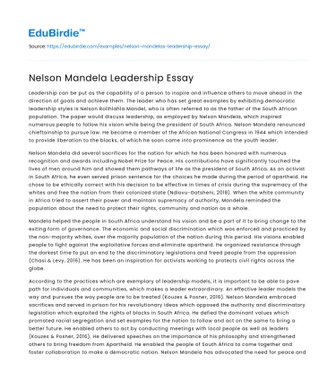 Nelson Mandela Leadership Essay