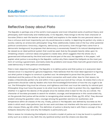 Reflective Essay about Plato