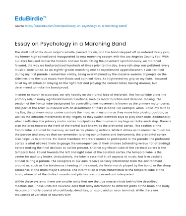 Essay on Psychology in a Marching Band