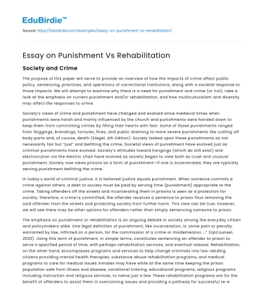 Essay on Punishment Vs Rehabilitation