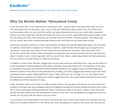 Why Do Words Matter: Persuasive Essay