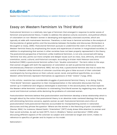 Essay on Western Feminism Vs Third World
