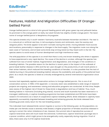 Features, Habitat And Migration Difficulties Of Orange-bellied Parrot