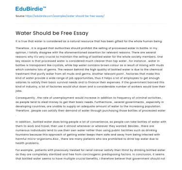 Water Should be Free Essay