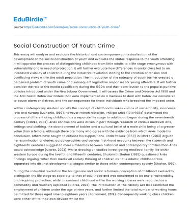 Social Construction Of Youth Crime