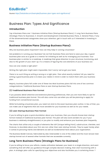 Business Plan: Types And Significance