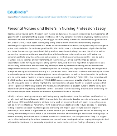 Personal Values and Beliefs in Nursing Profession Essay