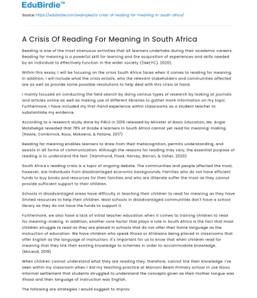 A Crisis Of Reading For Meaning In South Africa