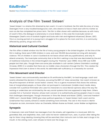 Analysis of the Film ‘Sweet Sixteen’