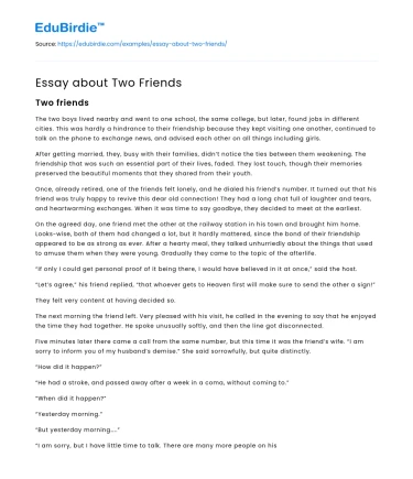 Essay about Two Friends