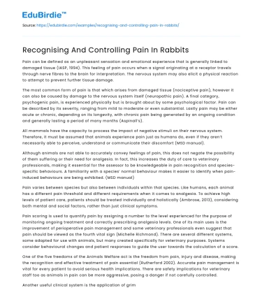 Recognising And Controlling Pain In Rabbits