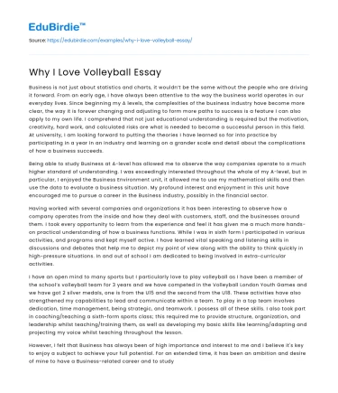 Why I Love Volleyball Essay