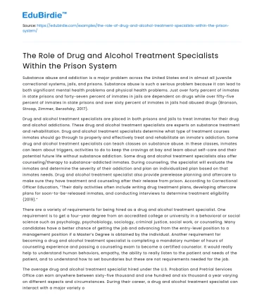 Specialists in Drug/Alcohol Treatment in Prisons