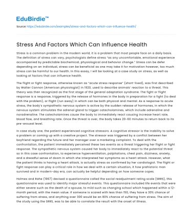 Stress And Factors Which Can Influence Health