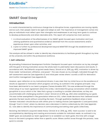 SMART Goal Essay