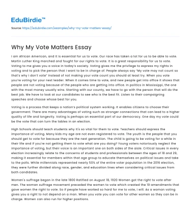 Why My Vote Matters Essay