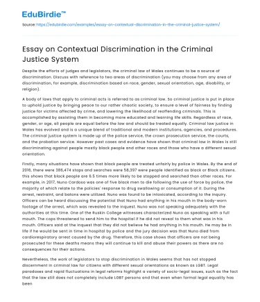 Essay on Contextual Discrimination in the Criminal Justice System