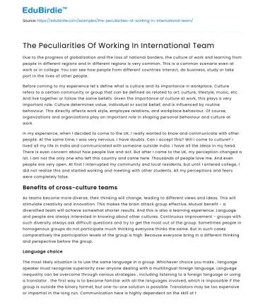 The Peculiarities Of Working In International Team