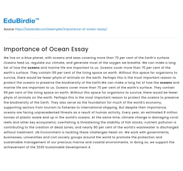 Importance of Ocean Essay