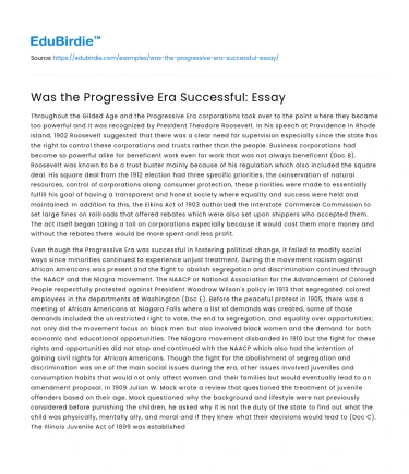 Was the Progressive Era Successful: Essay
