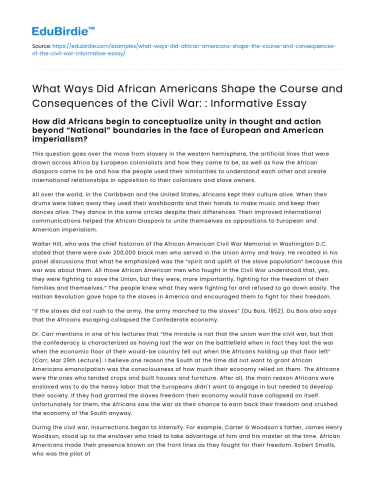 African American Influence on Civil War