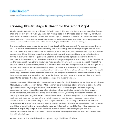 Banning Plastic Bags Is Great for the World Right