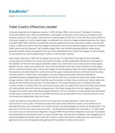 Fidel Castro’s Leadership Efficacy