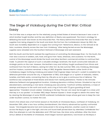 The Siege of Vicksburg during the Civil War: Critical Essay