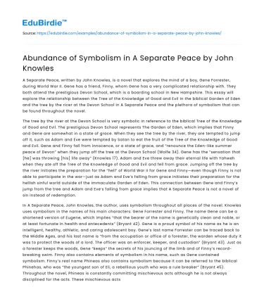 Abundance of Symbolism in A Separate Peace by John Knowles