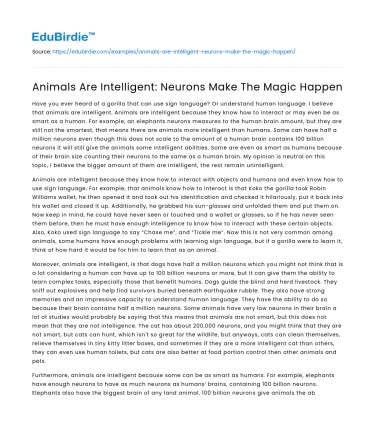 Animals Are Intelligent: Neurons Make The Magic Happen