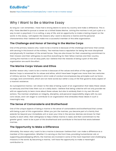 Why I Want to Be a Marine Essay