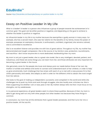 Essay on Positive Leader in My Life