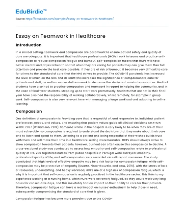 Essay on Teamwork in Healthcare