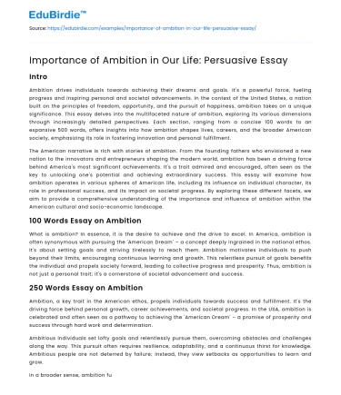 Importance of Ambition in Our Life: Persuasive Essay