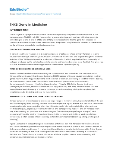 TNXB Gene In Medicine