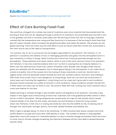 Effect of Cars Burning Fossil Fuel