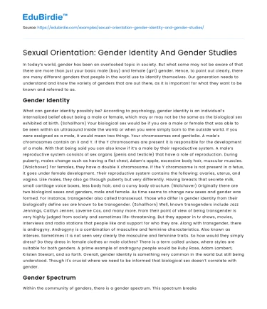Sexual Orientation: Gender Identity And Gender Studies