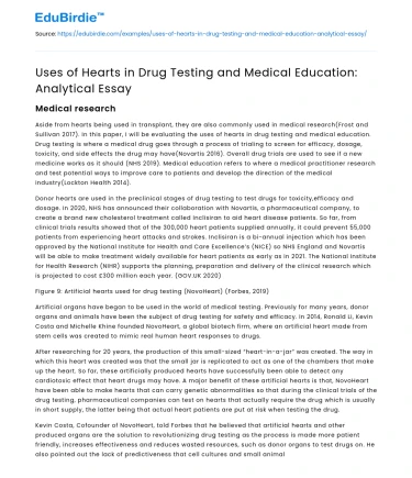 Uses of Hearts in Drug Testing and Medical Education: Analytical Essay