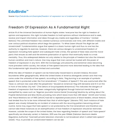 Freedom Of Expression As A Fundamental Right
