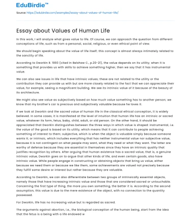 Essay about Values of Human Life