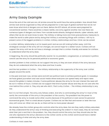 Army Essay Example