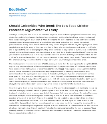 Celebrities and Law: Stricter Penalties?