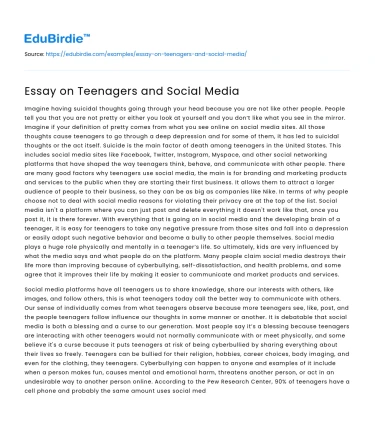 Essay on Teenagers and Social Media